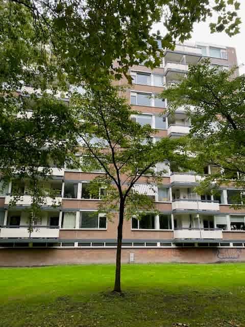 Bolestein 66B - Amsterdam