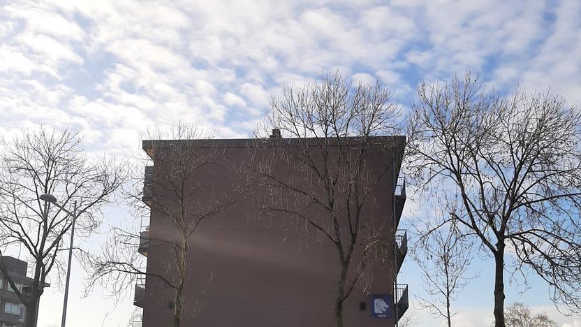 Brakelseweg 62 - Wageningen