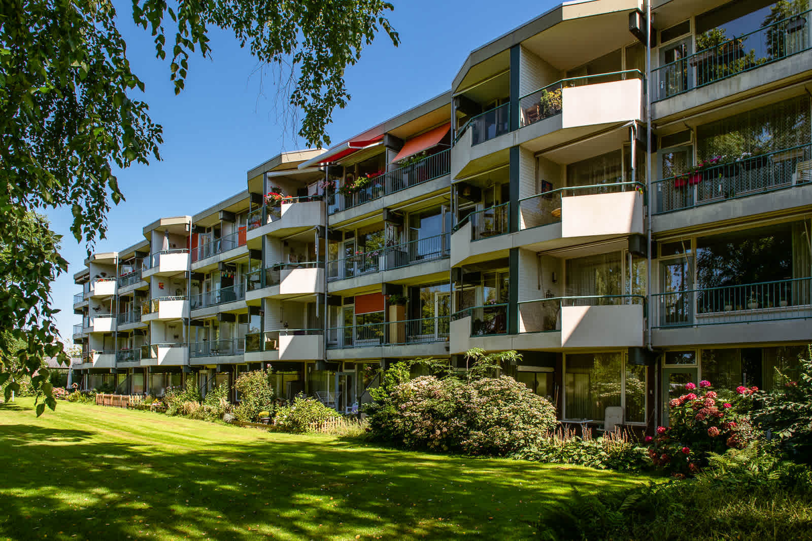 Poolster 4 - Veenendaal