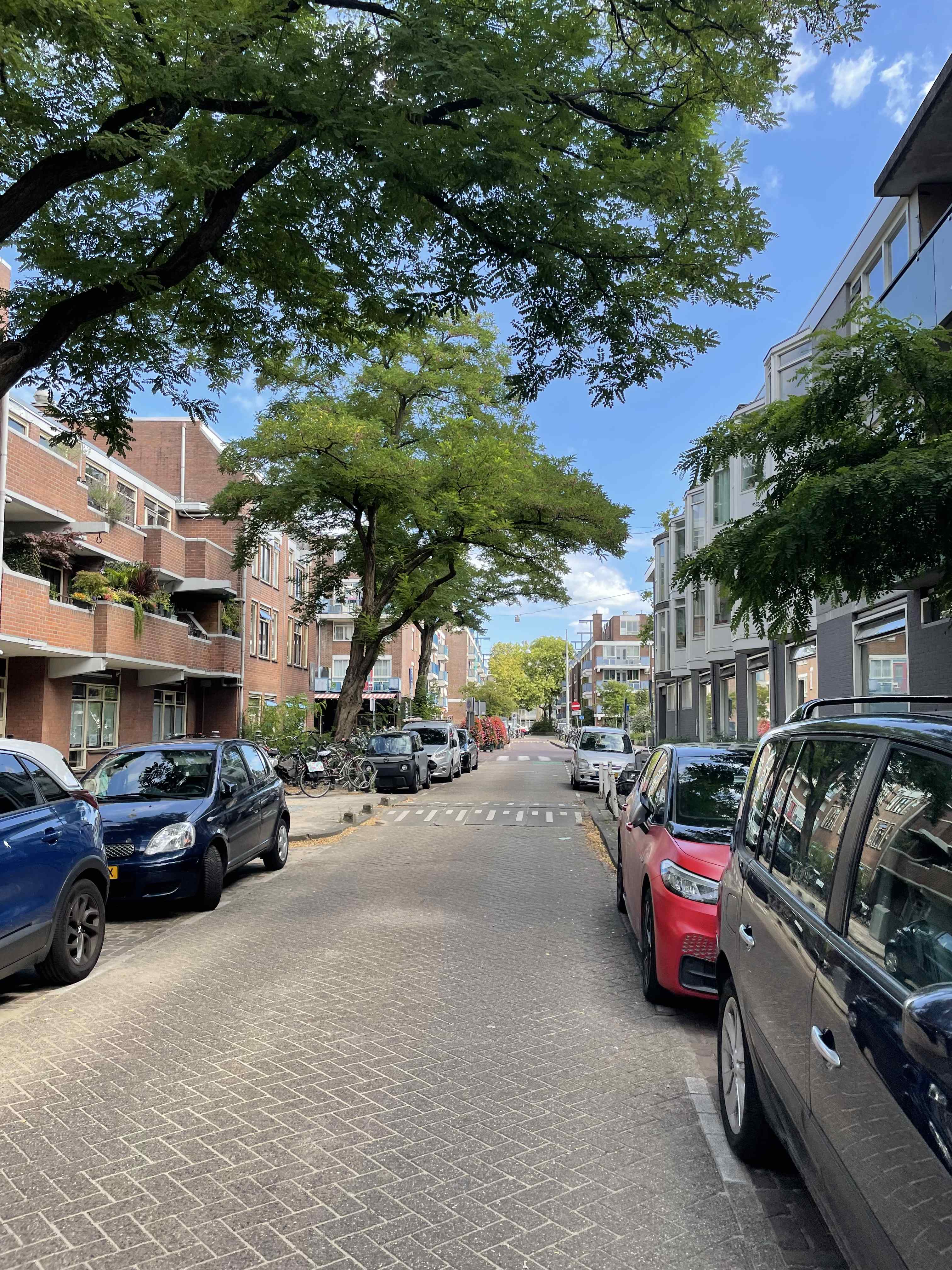 Schoolmeesterstraat 53-A - Amsterdam
