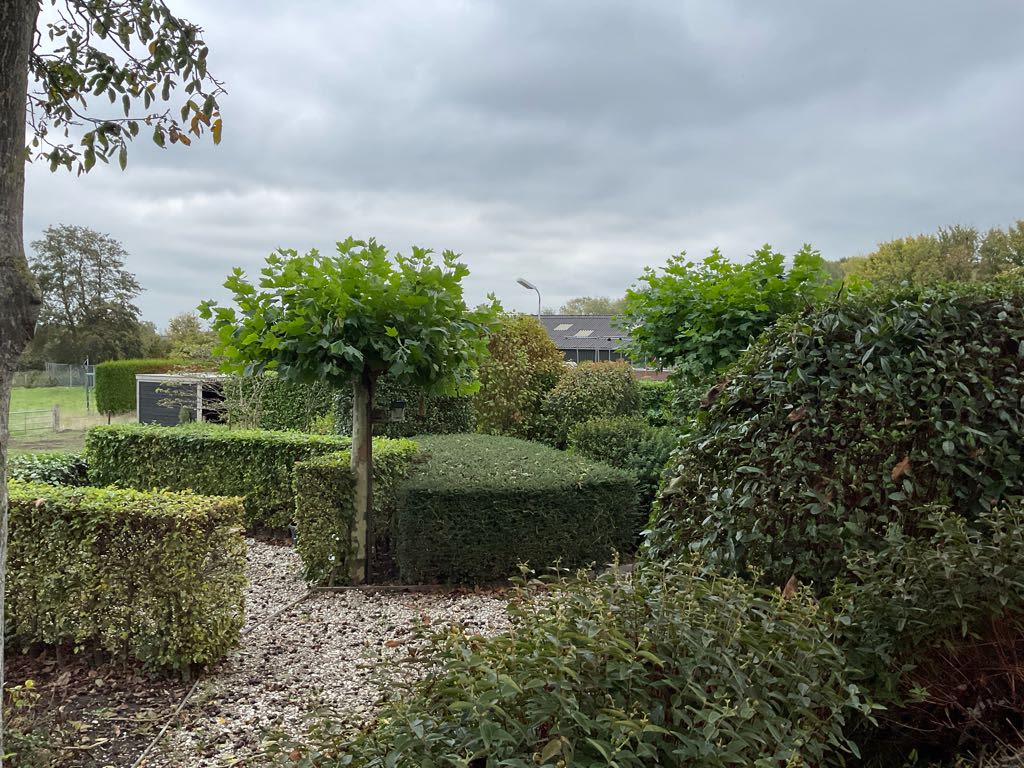 Maasdijk 36D - Poederoijen