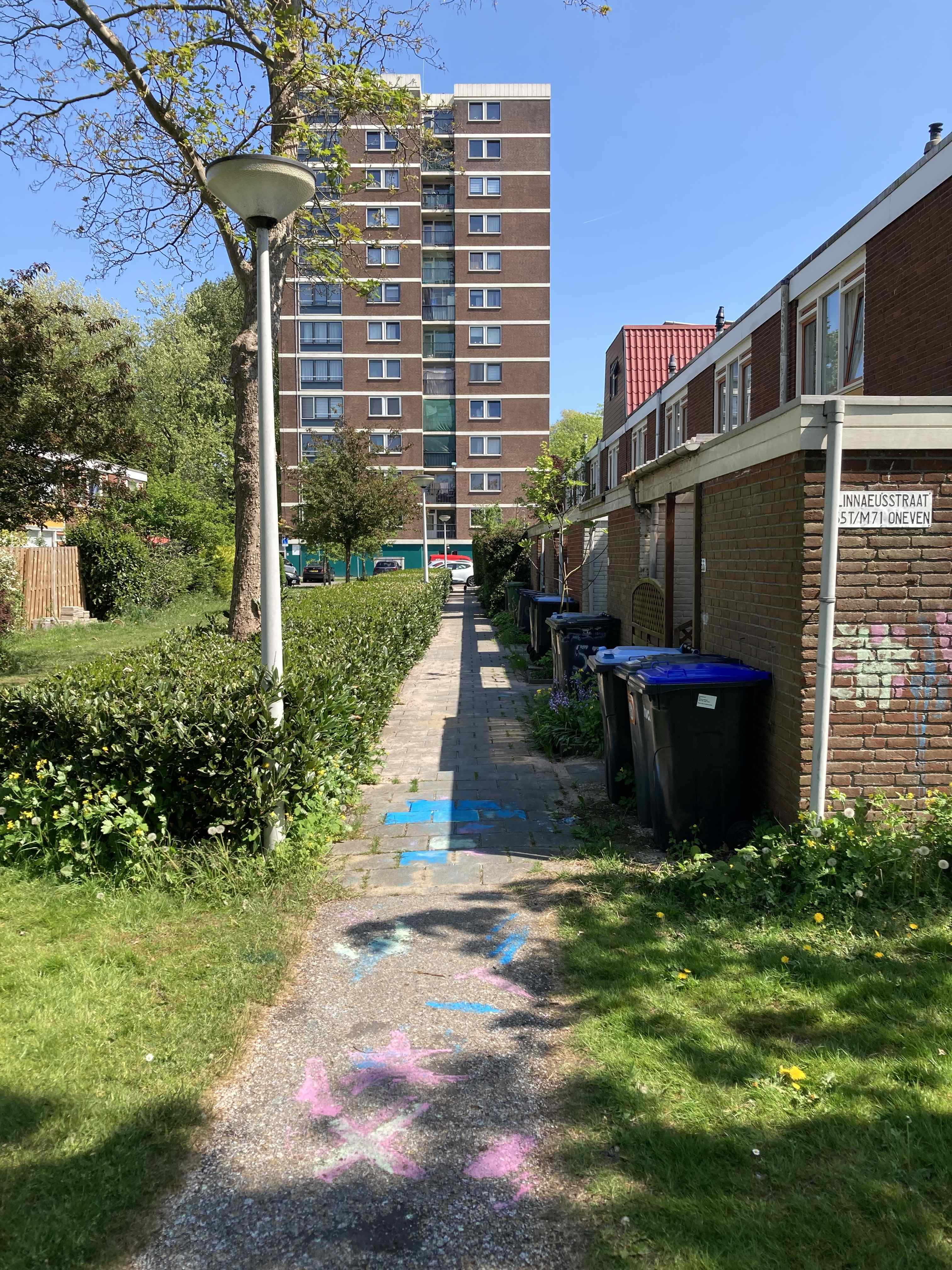 Linnaeusstraat 63 - Zaandam