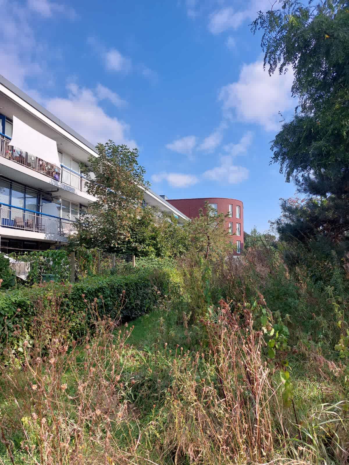 Lange Dreef 7 - Driebergen-Rijsenburg