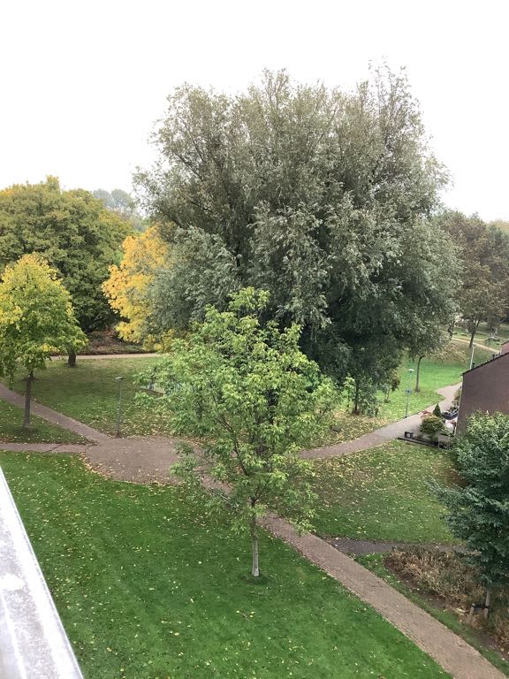 Duivenvoorde 189 - Zwijndrecht