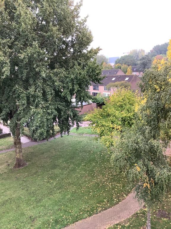 Duivenvoorde 189 - Zwijndrecht