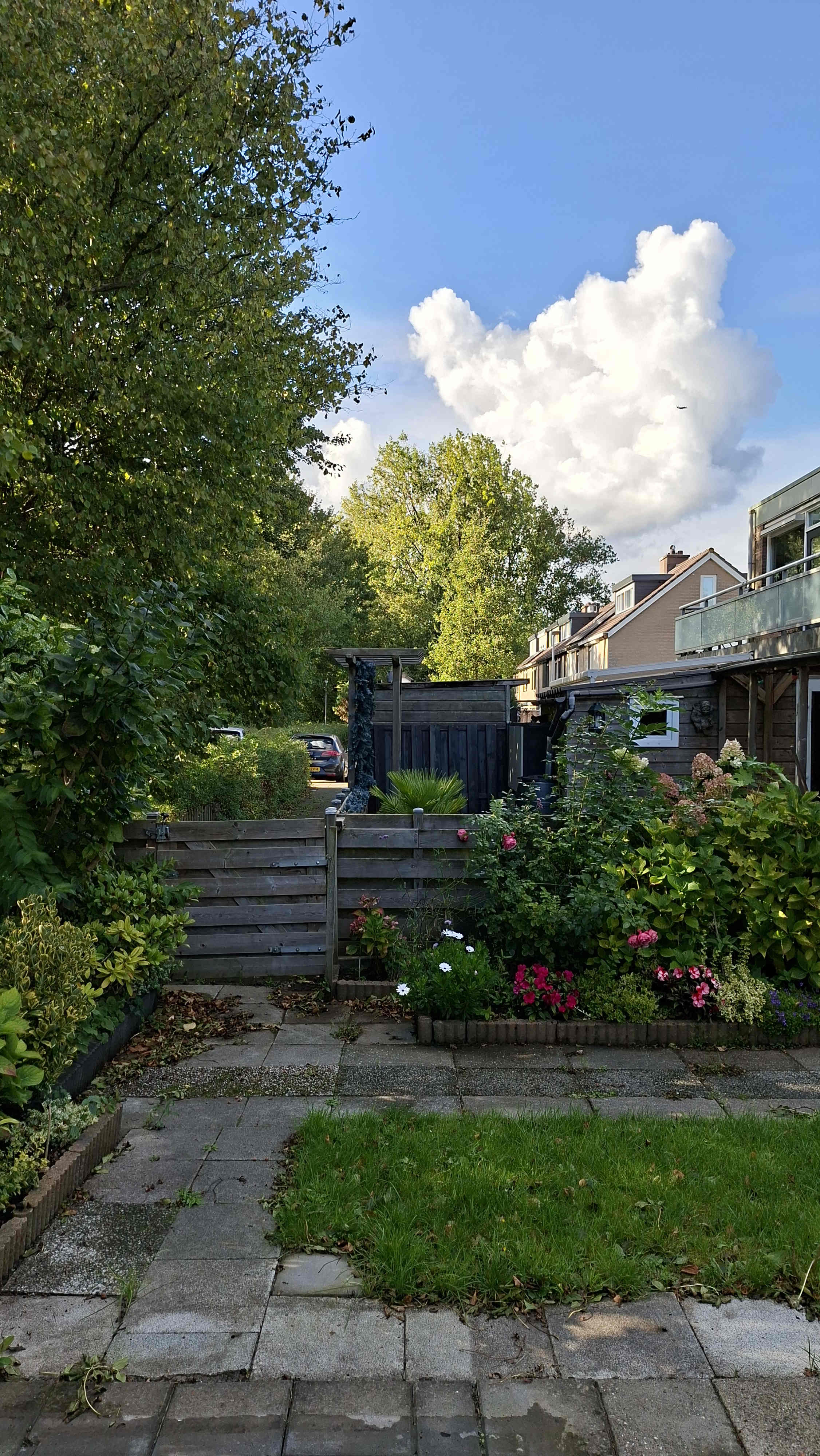 Nauerna 29 - Zwanenburg