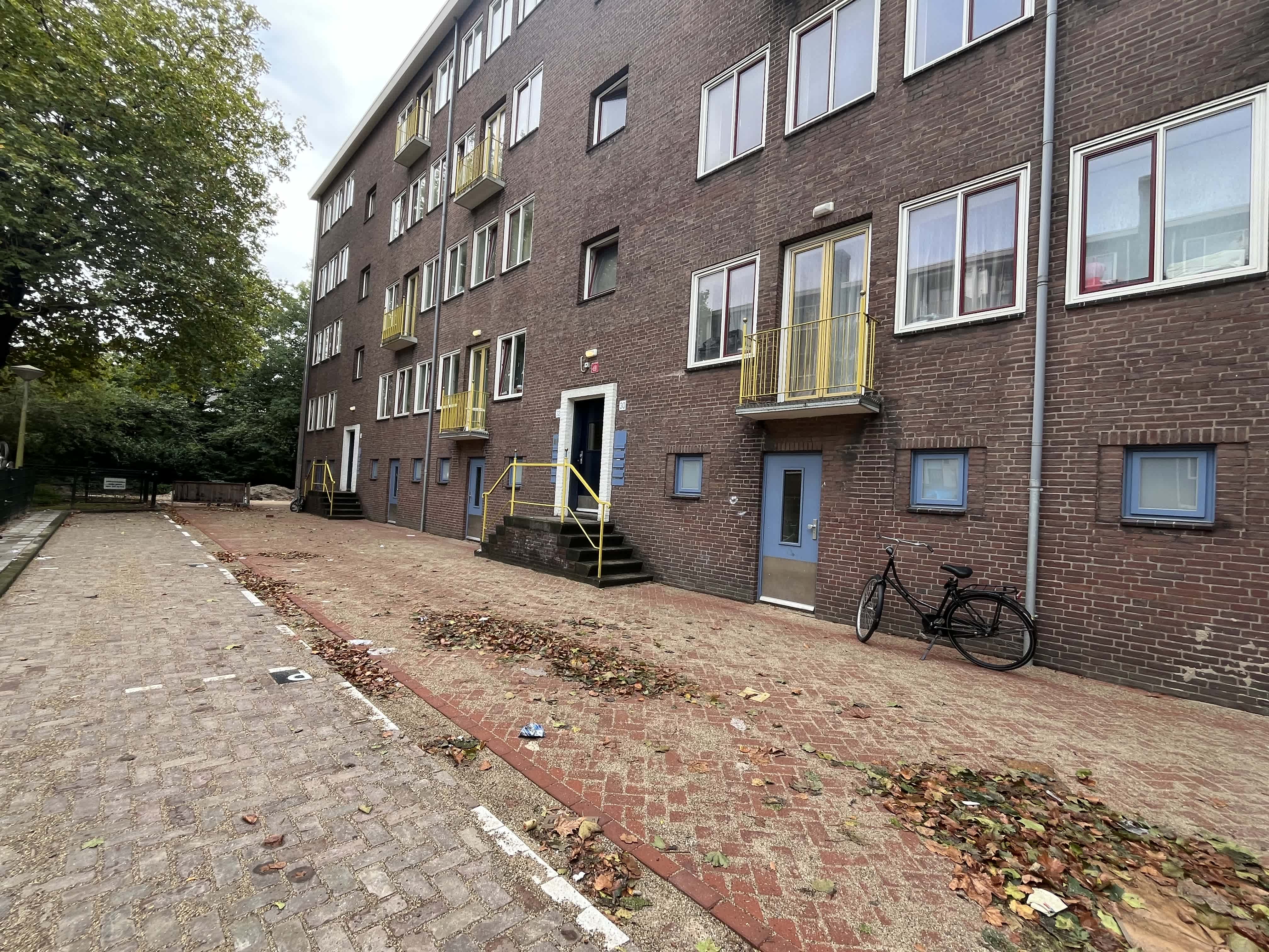 Platanenweg 30-2 - Amsterdam