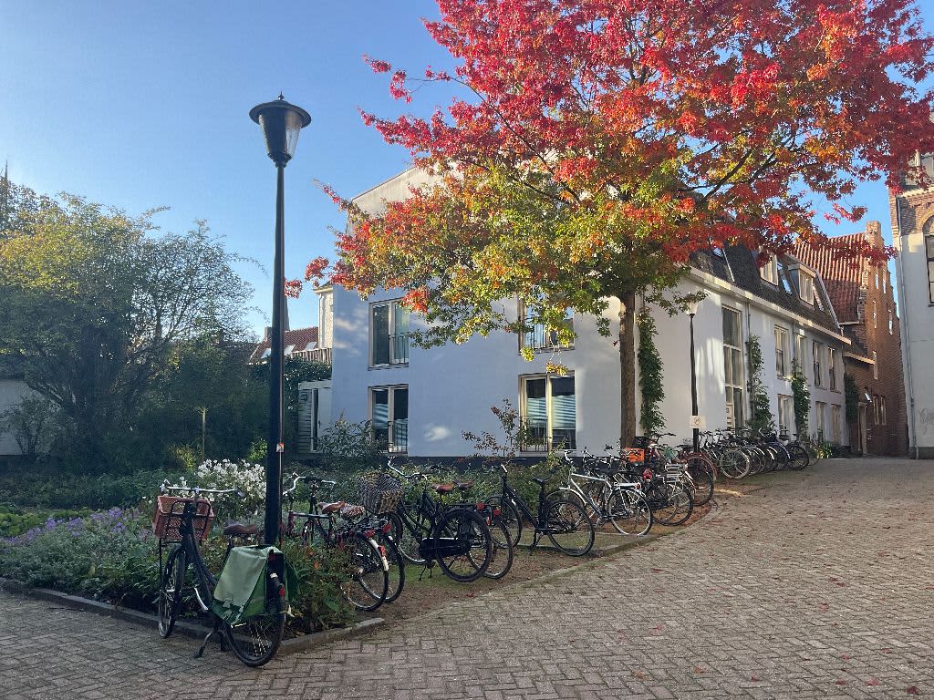 Ridderstraat 116 - Culemborg