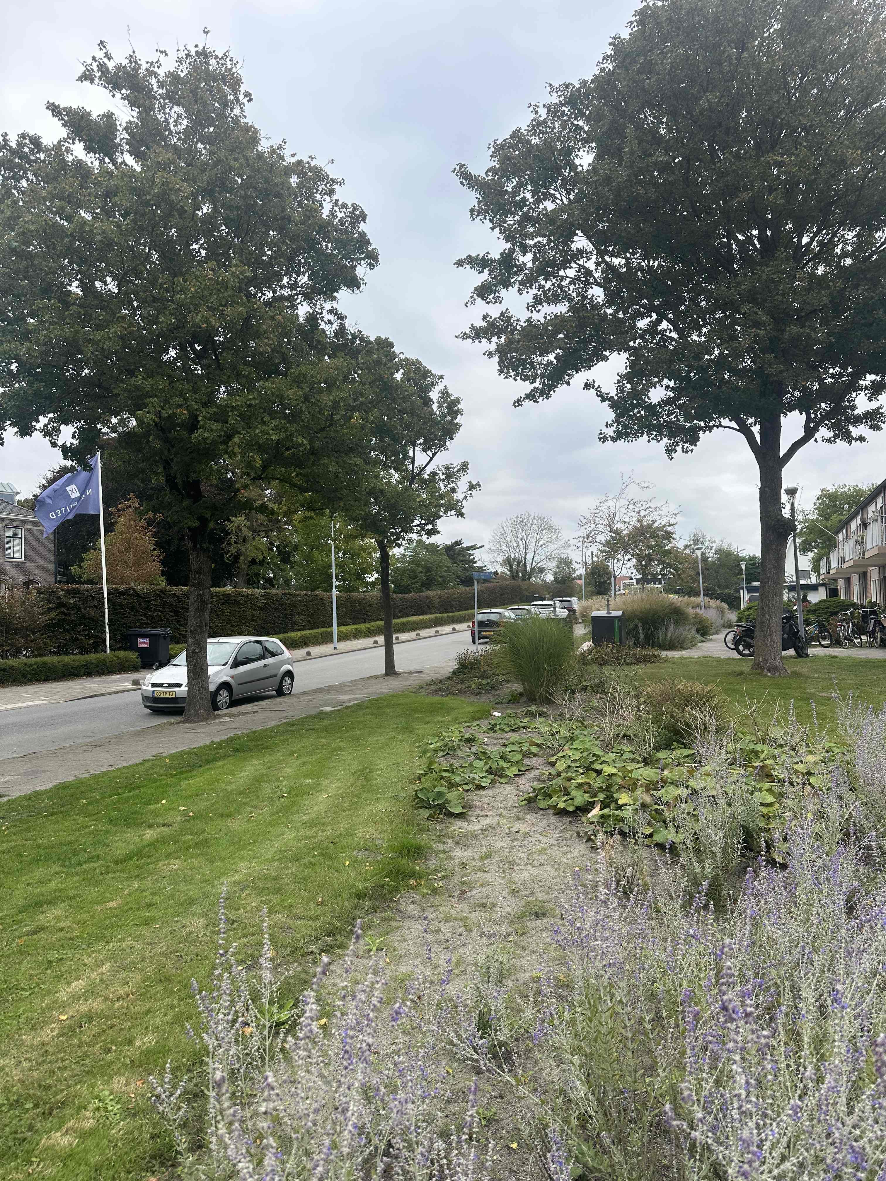 Verremeer 16 - Rijsenhout