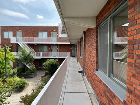 Moerasvaren 31 - Vleuten