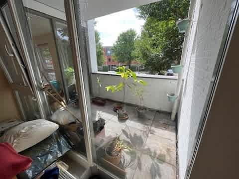 Moerasvaren 31 - Vleuten