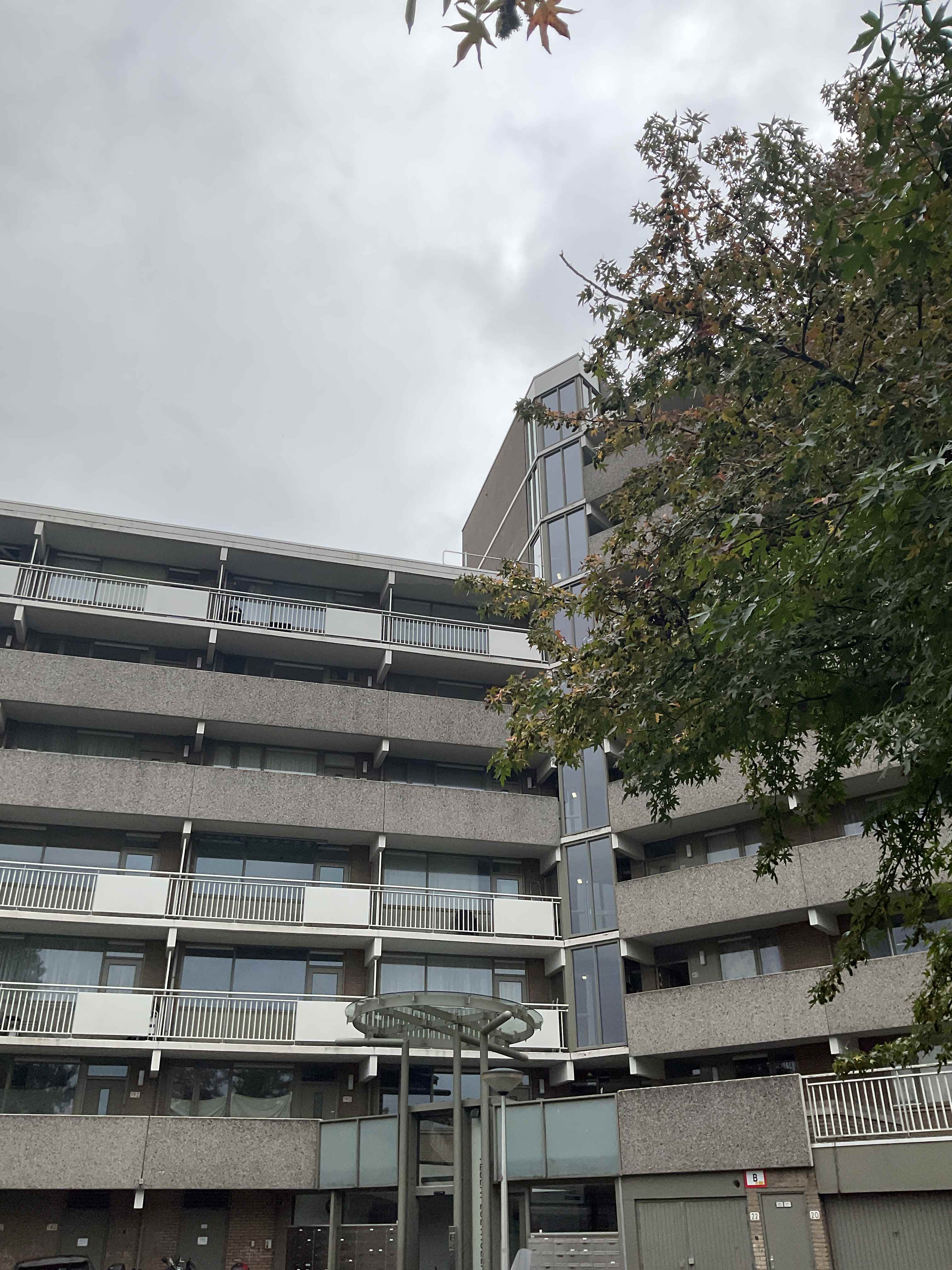 Albert Loethoelistraat 244 - Diemen