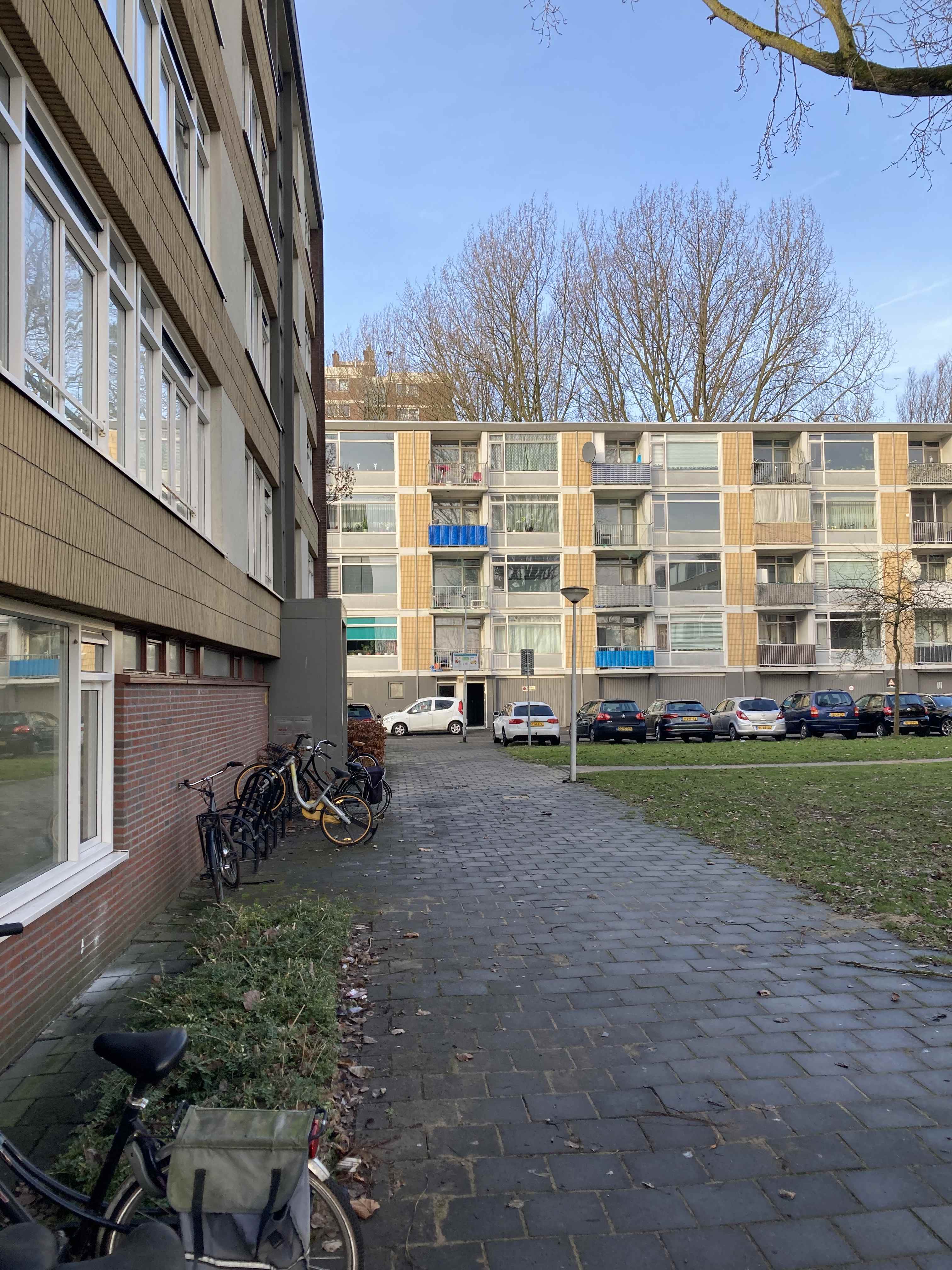 Poelenburg 383 - Zaandam