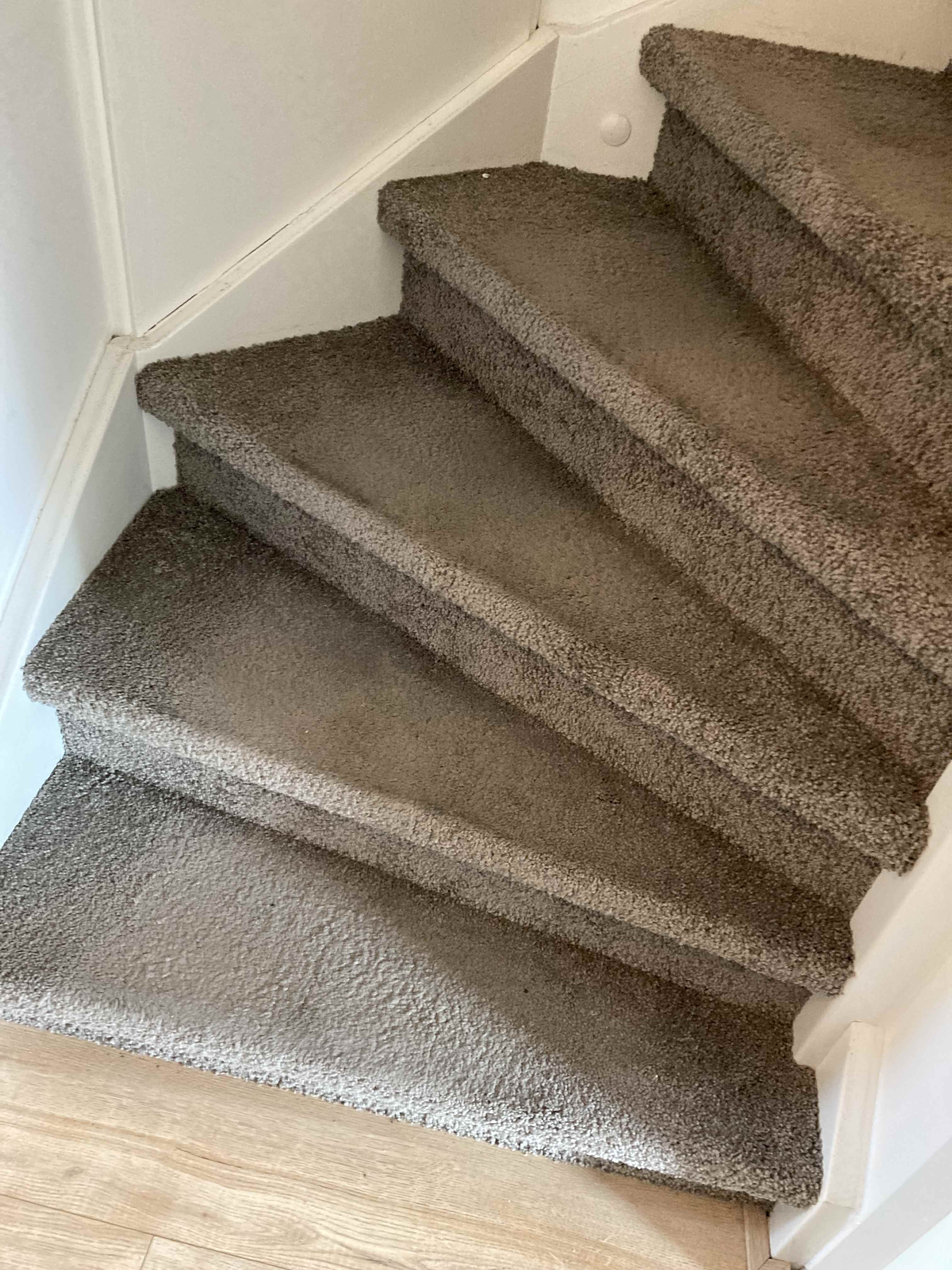 Meyboompad 7 - Haarlem