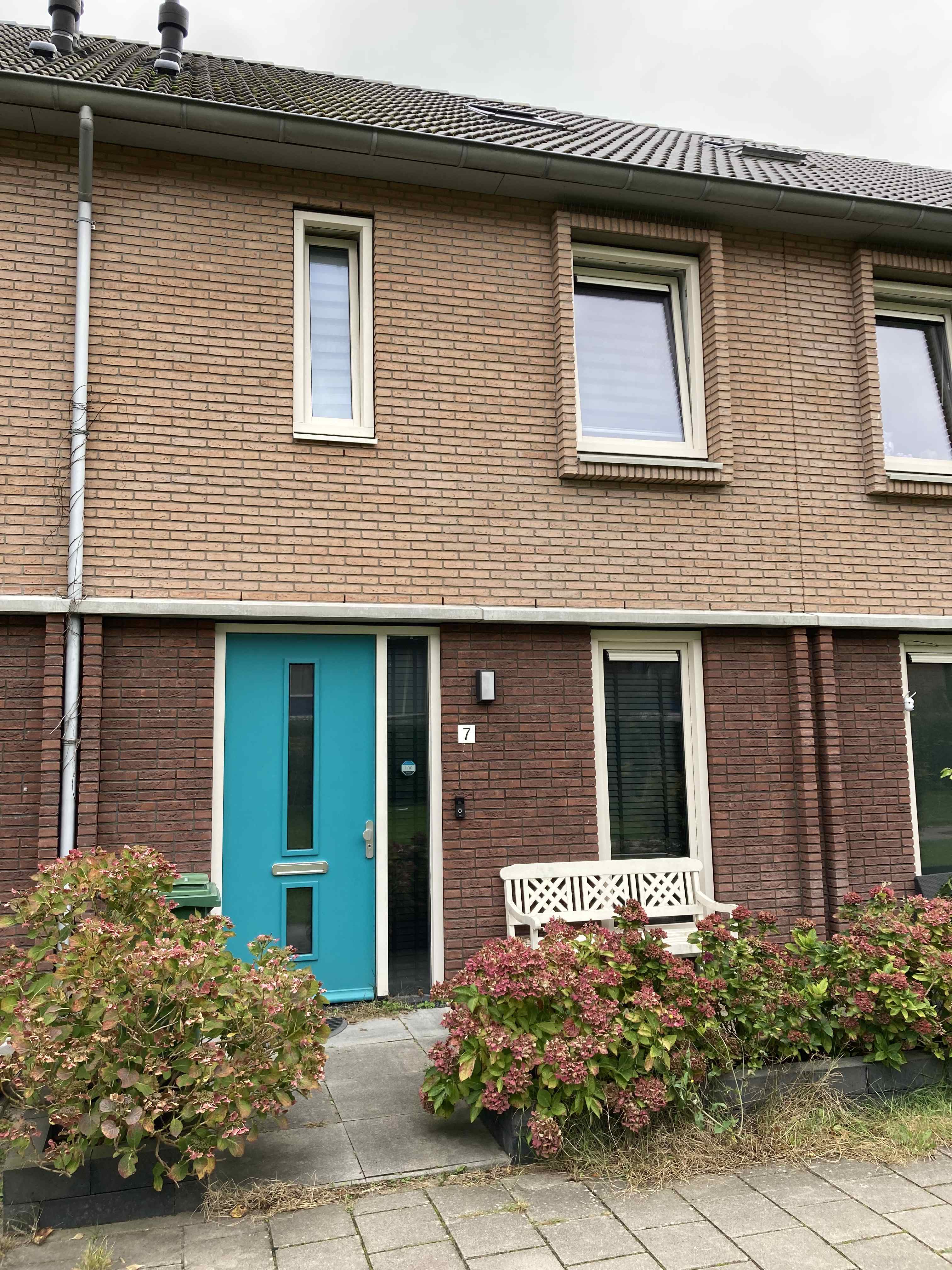 Meyboompad 7 - Haarlem
