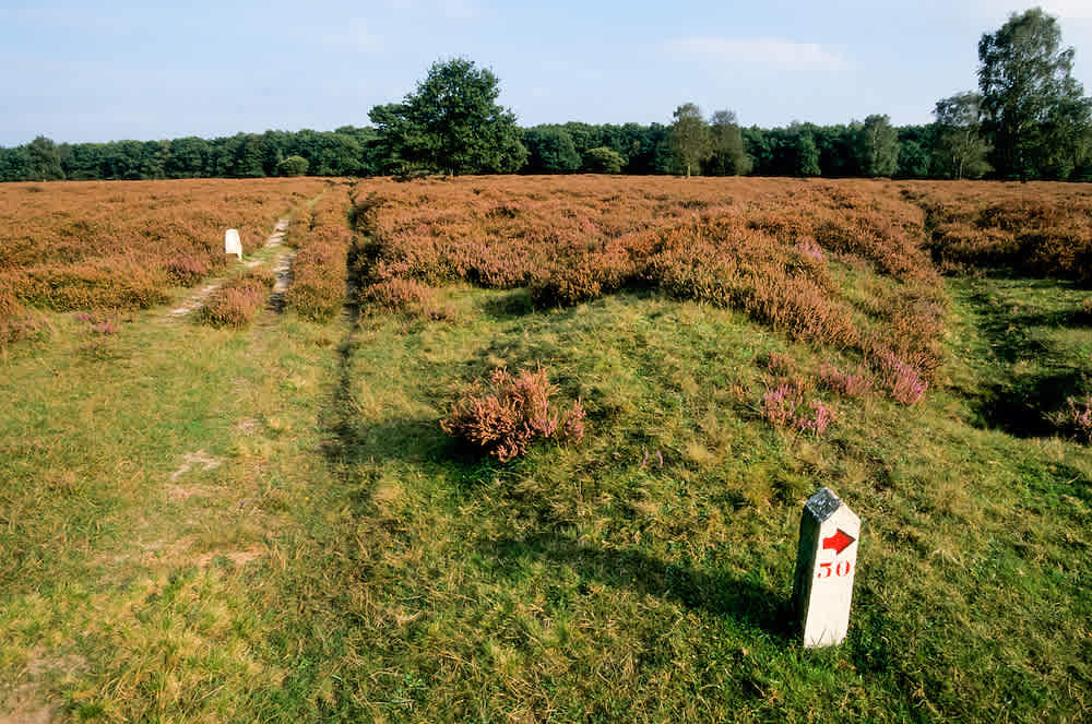 Weidehof 143 - Bussum