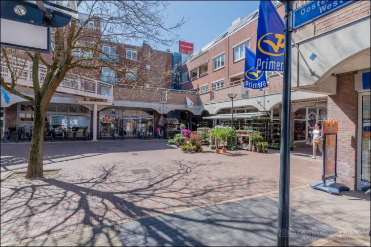 Westergo 26 - Huizen