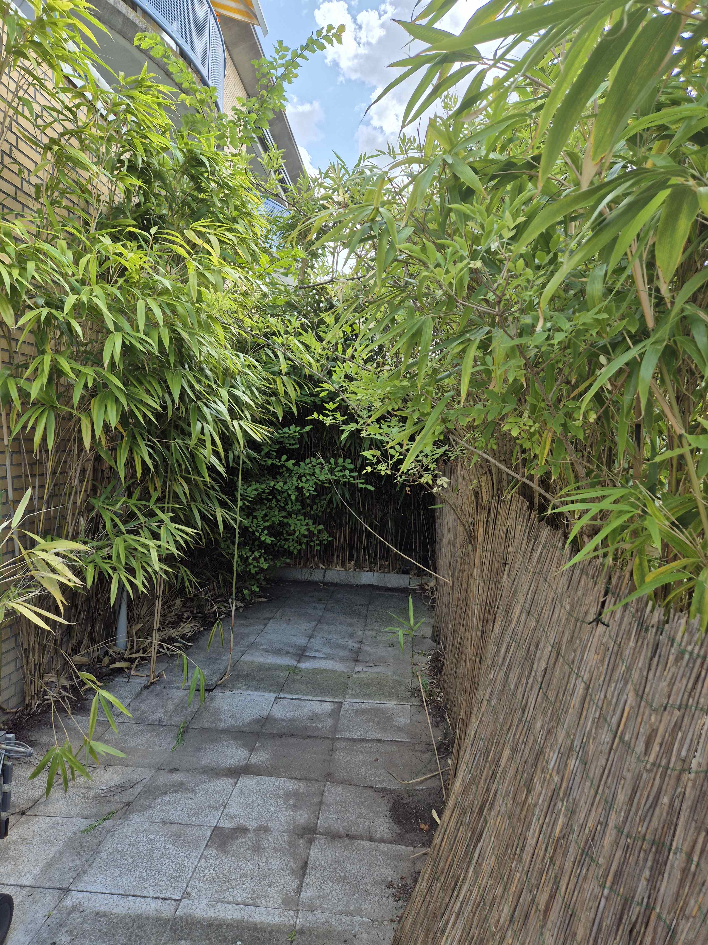 Arendonksingel 37 - Amsterdam