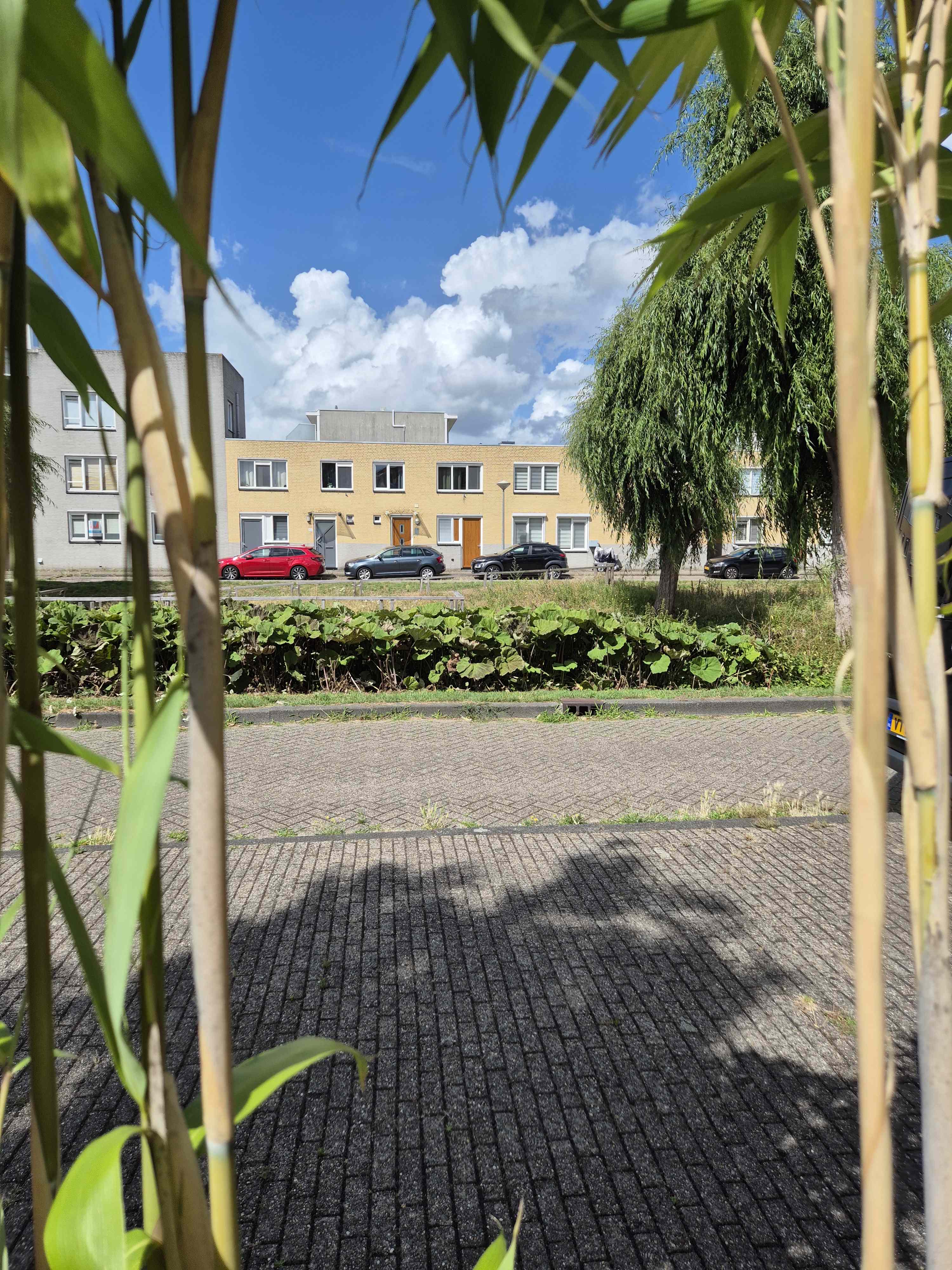 Arendonksingel 37 - Amsterdam