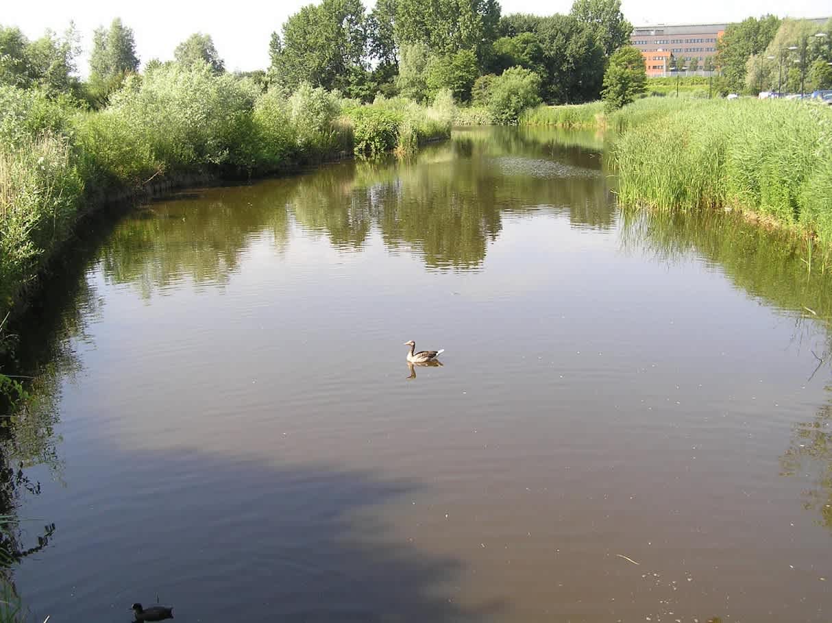 Hakfort 407 - Amsterdam