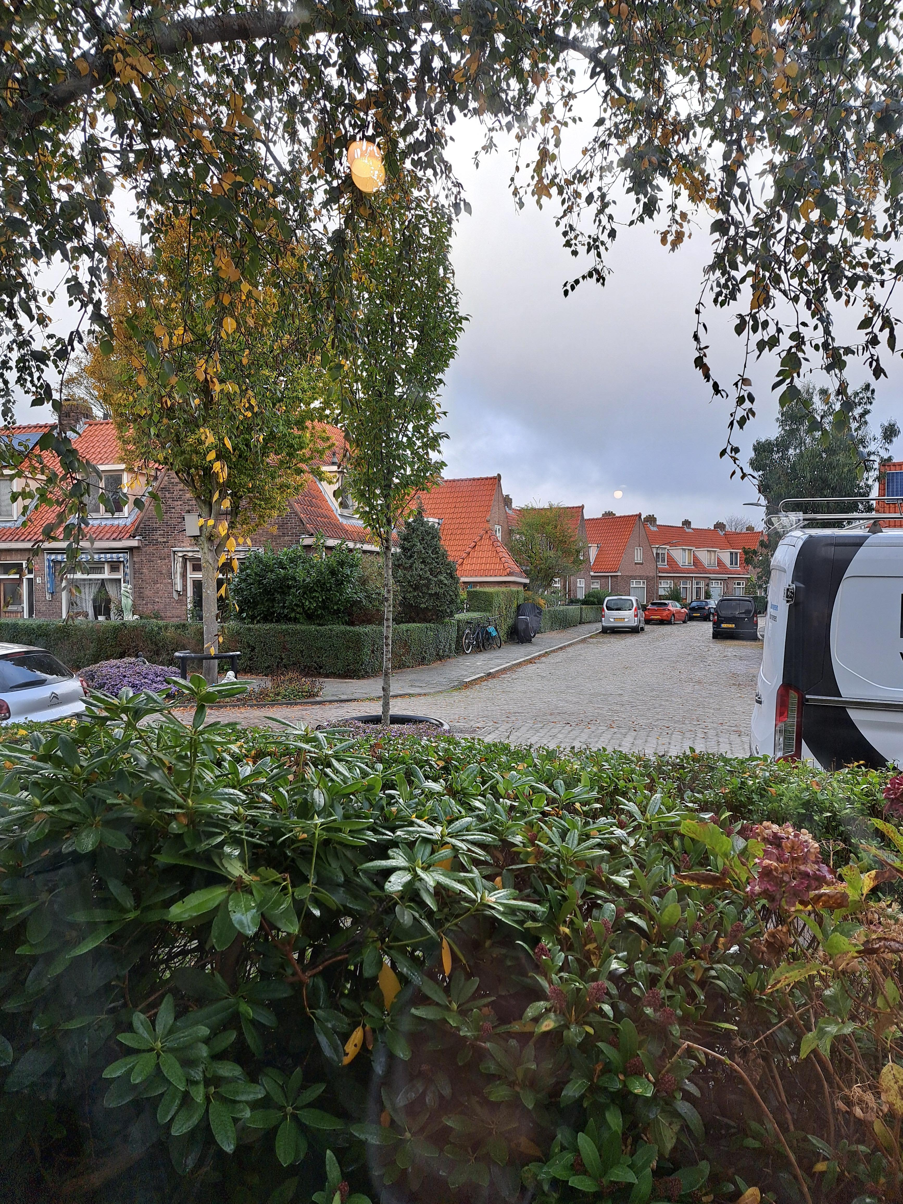 Dahliastraat 12 - Haarlem