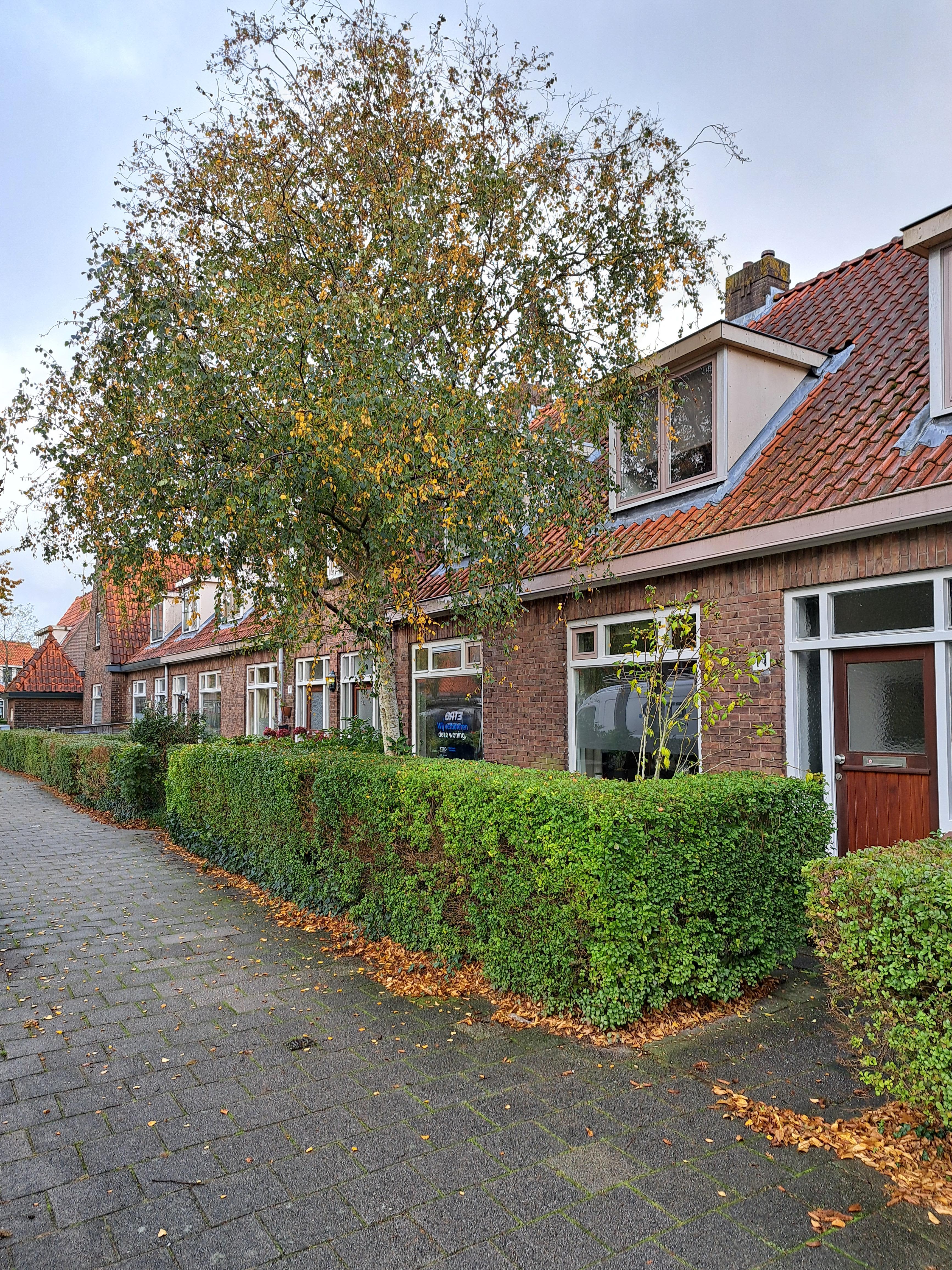 Dahliastraat 12 - Haarlem