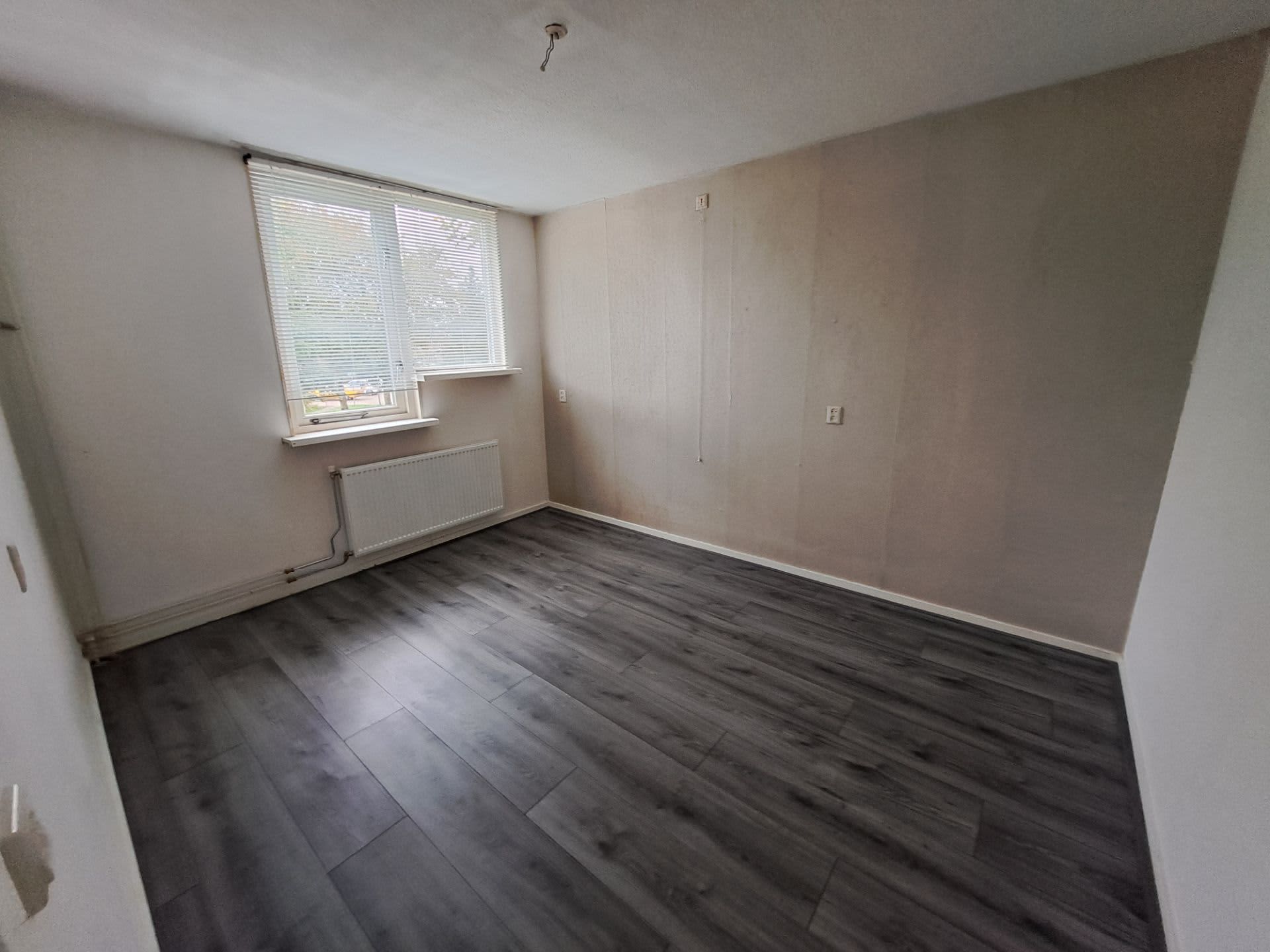 Snippenbos 73 - IJmuiden