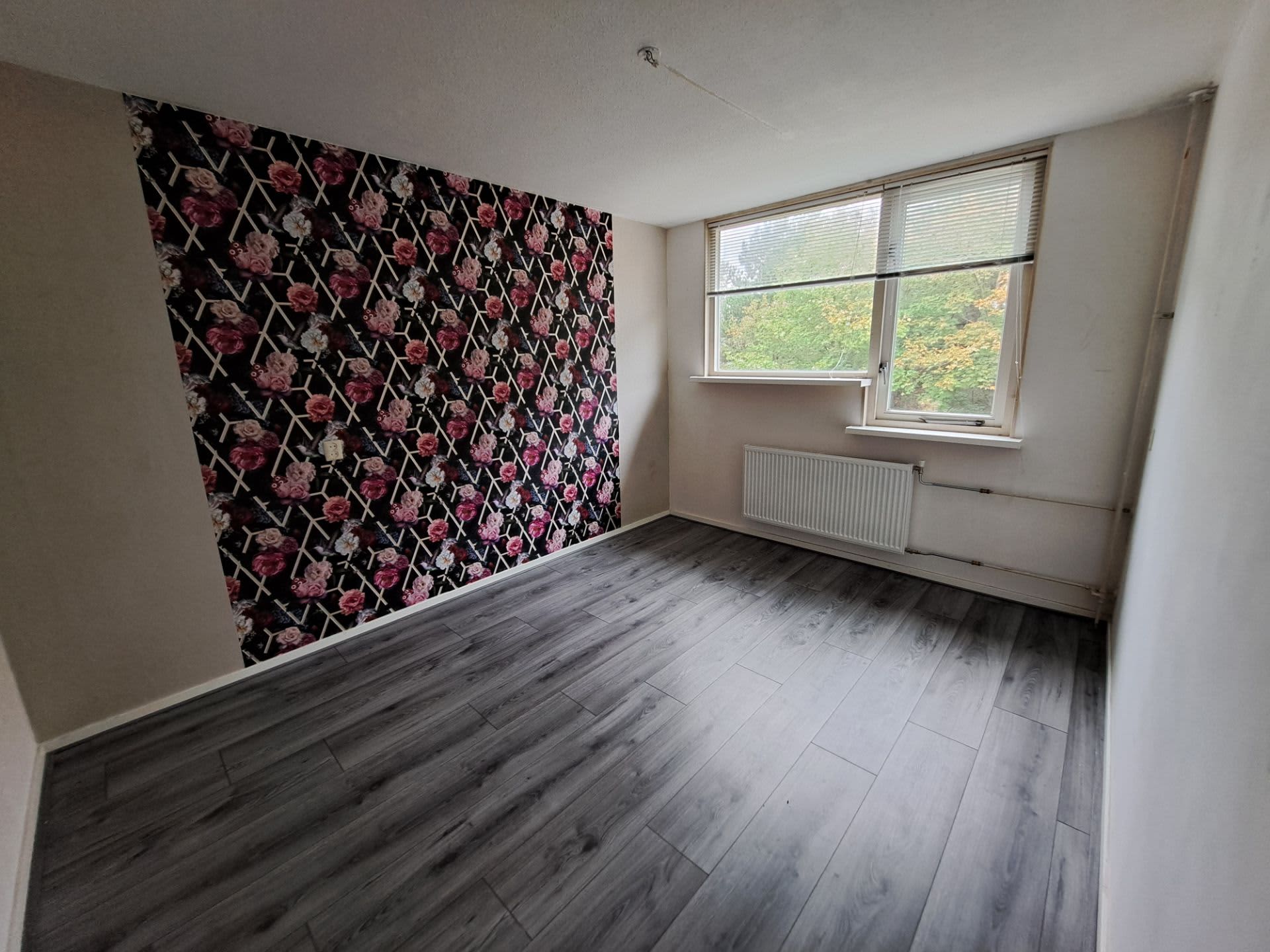 Snippenbos 73 - IJmuiden