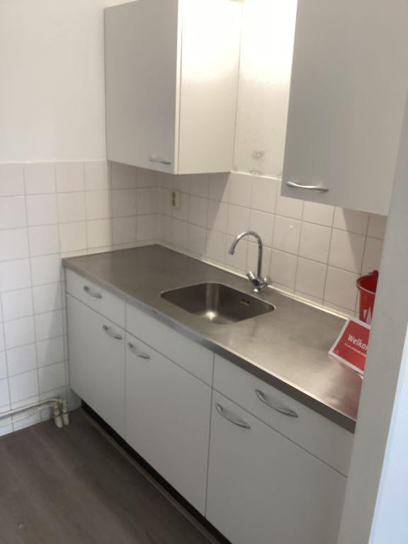 Grote Beer 68 - Amstelveen