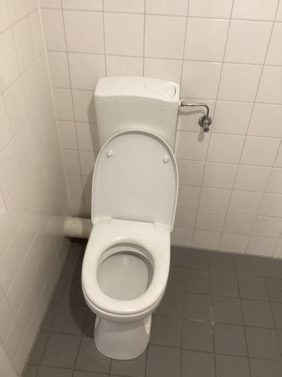 Grote Beer 68 - Amstelveen