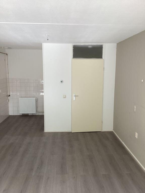 Grote Beer 68 - Amstelveen