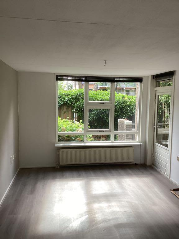 Grote Beer 68 - Amstelveen