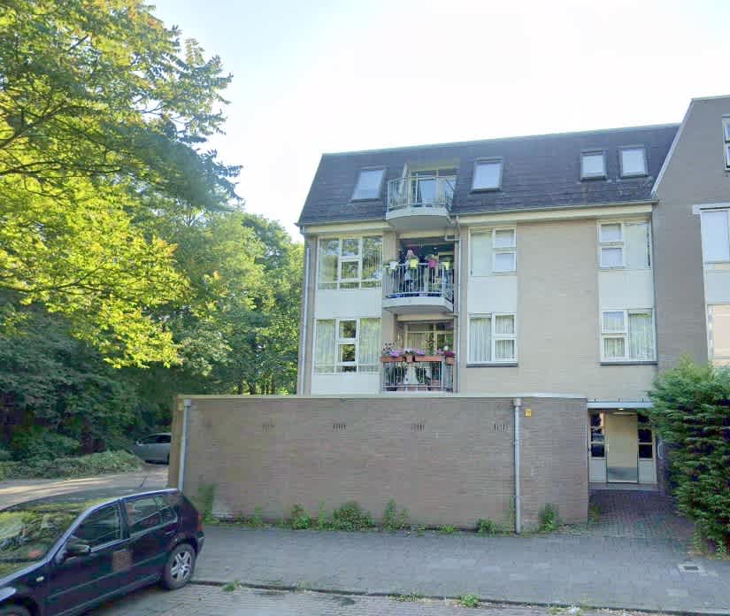 Grote Beer 68 - Amstelveen