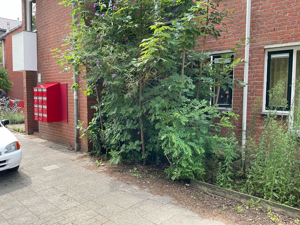 Sudeten 97 - Utrecht