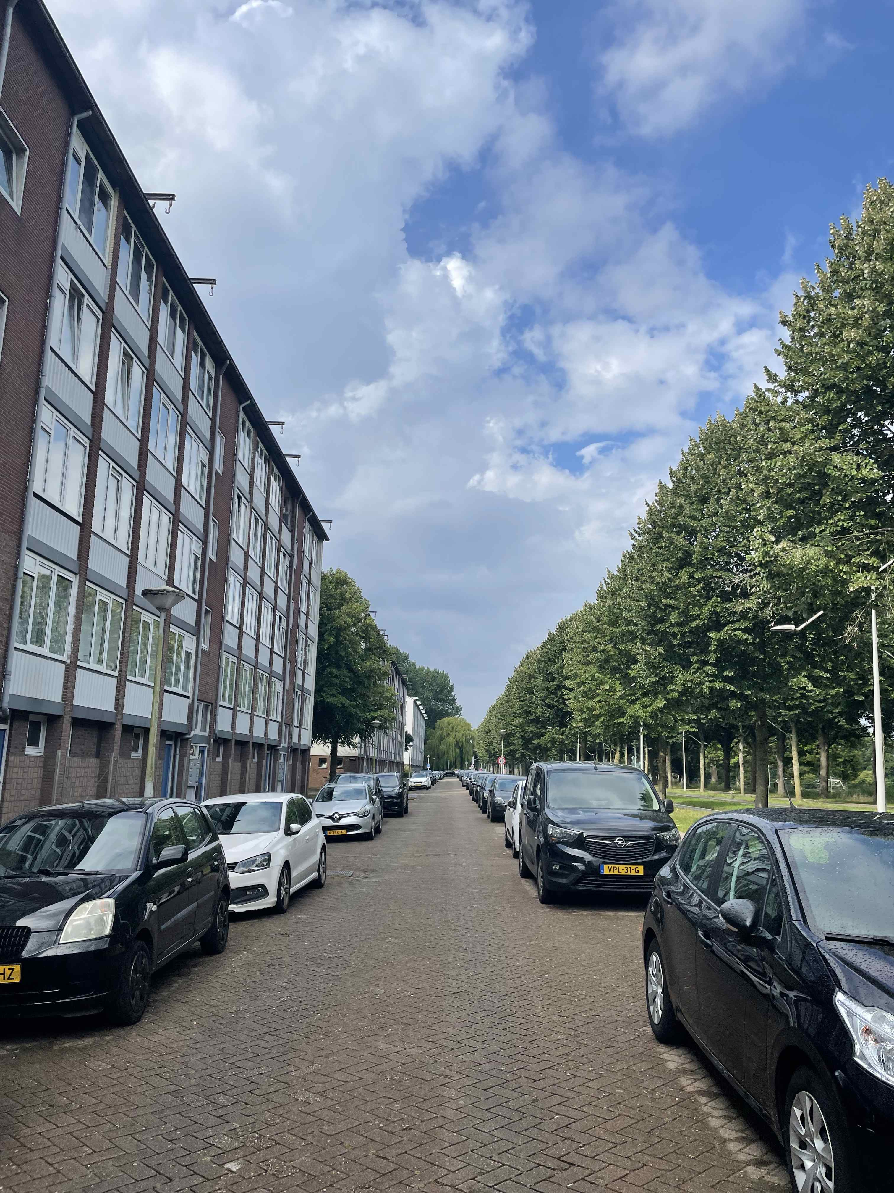 Ookmeerweg 210-1 - Amsterdam