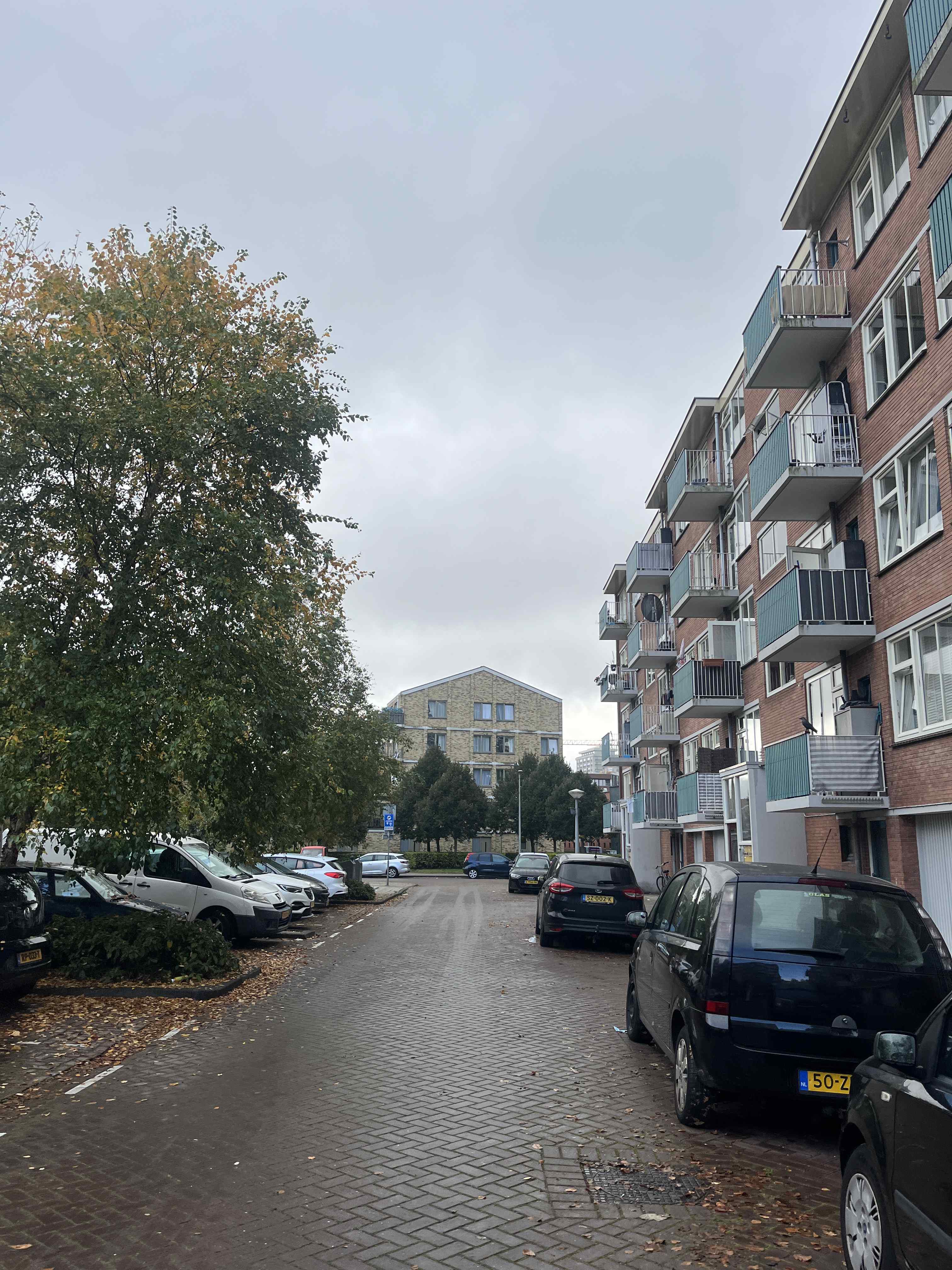 Jan Voermanstraat 1002 - Amsterdam