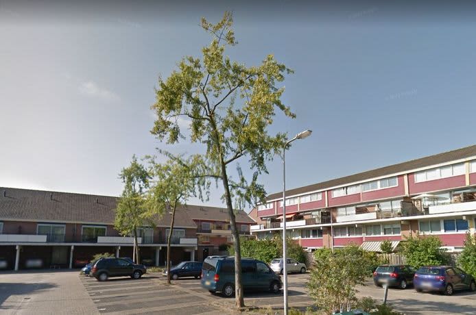 Brugakker 5334 - Zeist