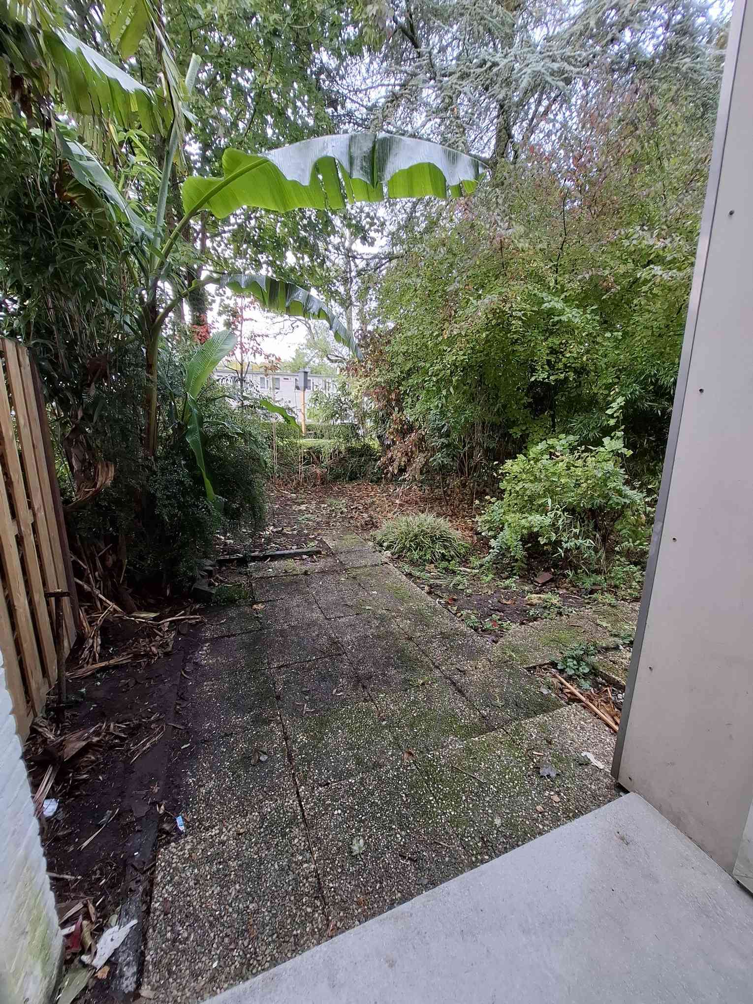 Einthovenstraat 18H - Amsterdam