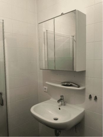 Watermunt 3 - Kockengen