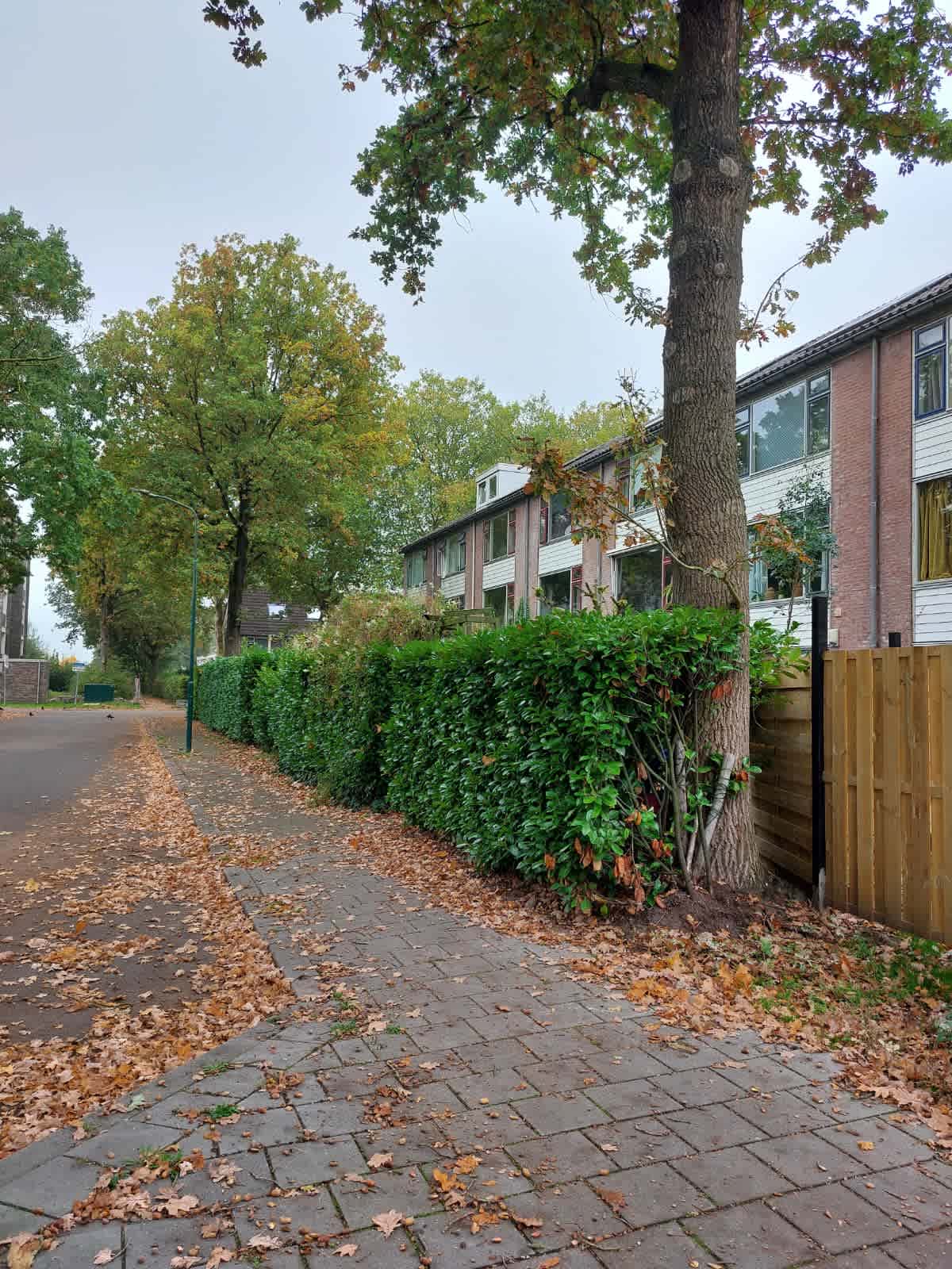 De Wezel 3 - Driebergen-Rijsenburg