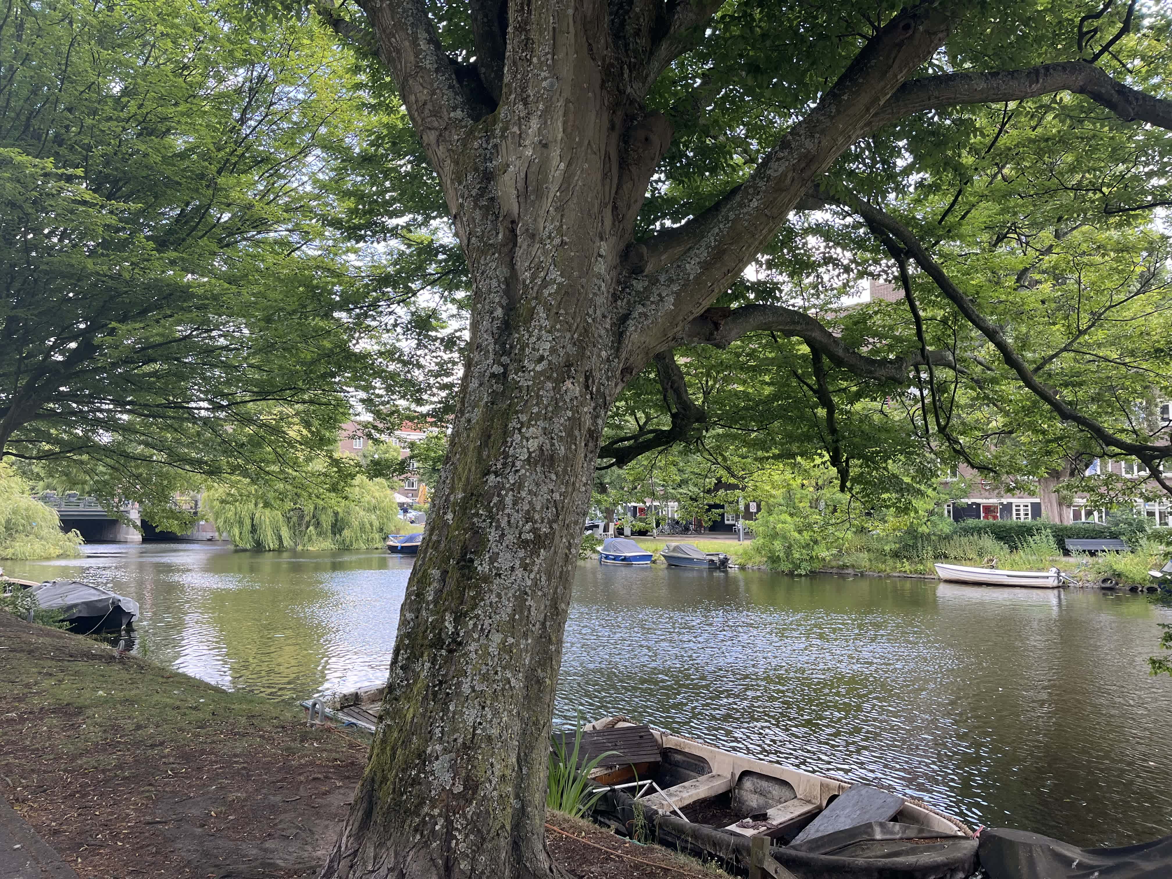 Pieter Lastmankade 169 - Amsterdam