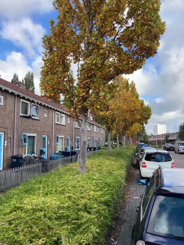 Dahliastraat 3A - Wormerveer