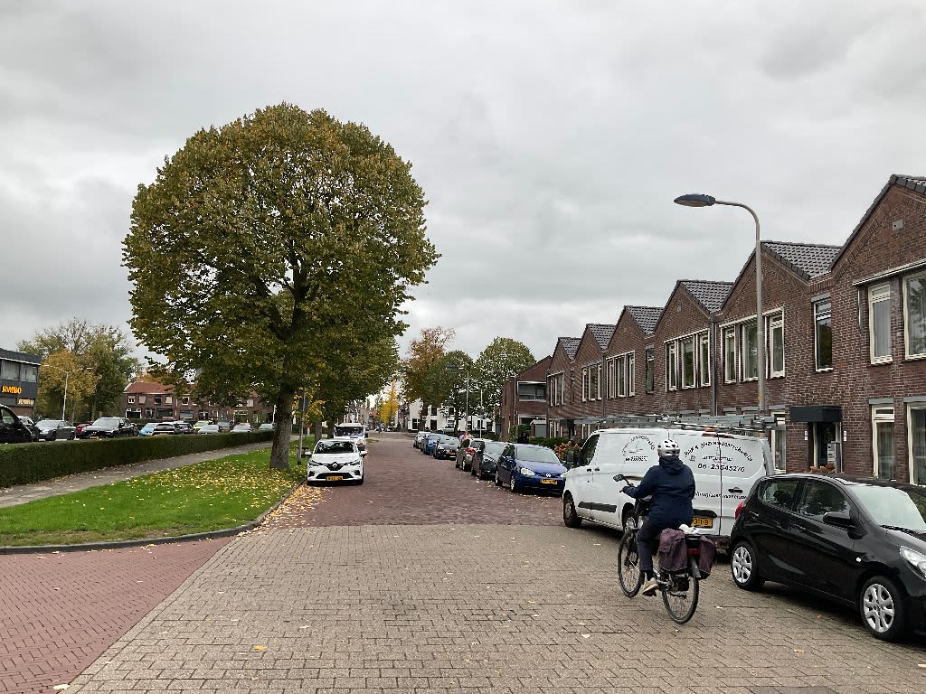 Vianensestraat 20 - Culemborg