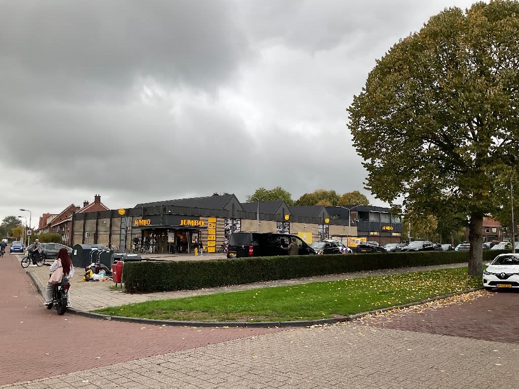 Vianensestraat 20 - Culemborg