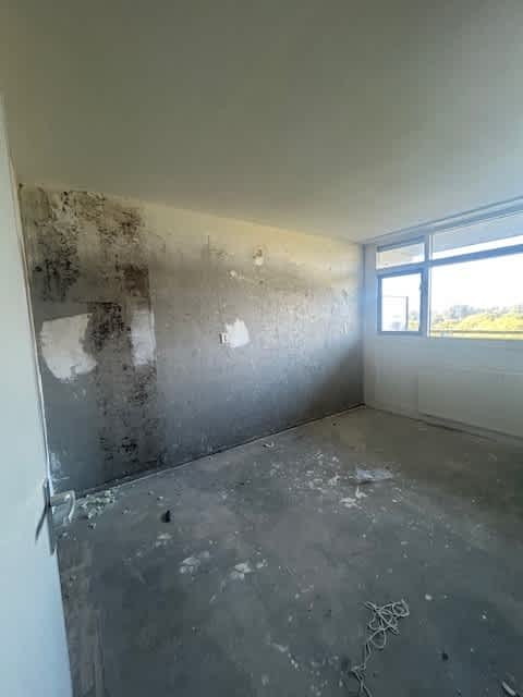 Kalslagerring 251 - Nieuw-Vennep