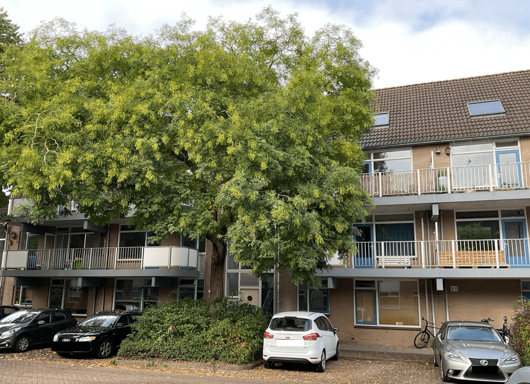 Leeuweriksweide 31 - Wageningen