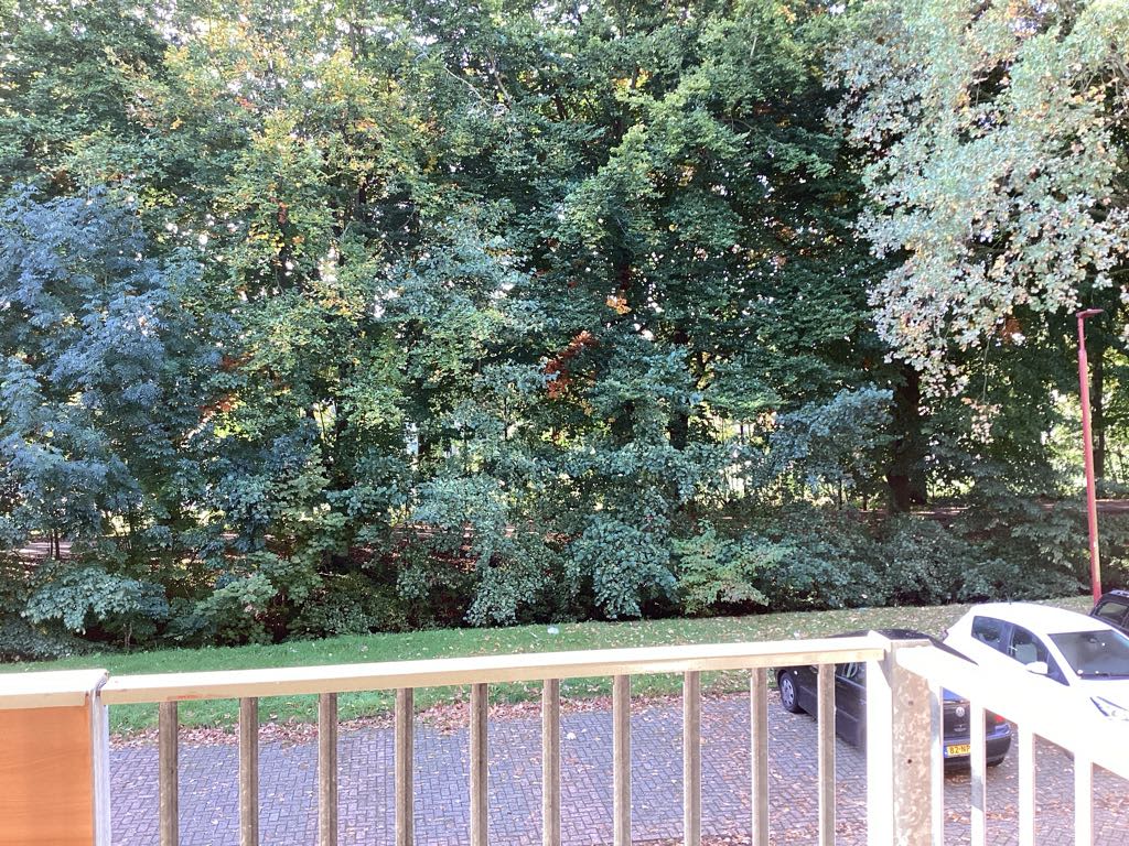 Baarnseveste 19 - Nieuwegein