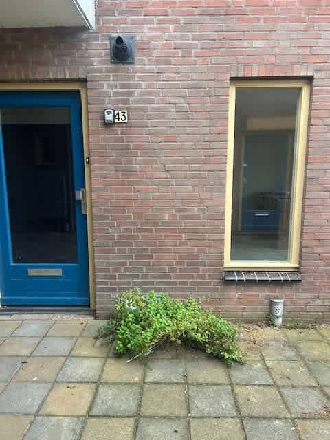 Edelmanstraat 43 - Nieuw-Vennep
