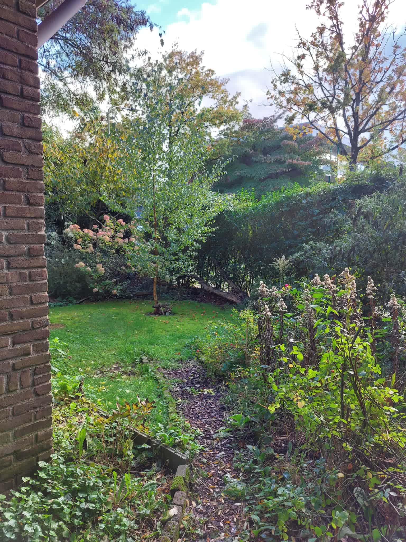 Drieklinken 16 - Driebergen-Rijsenburg