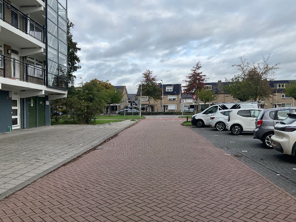 Martin Luther King 133 - Culemborg